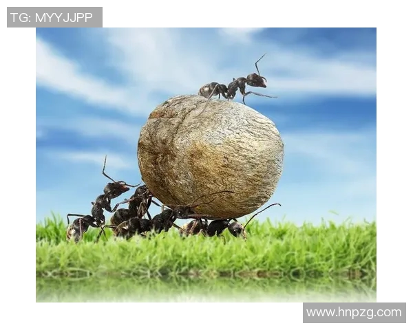 南京篮球队的崛起之路：揭秘他们背后的训练与团队精神