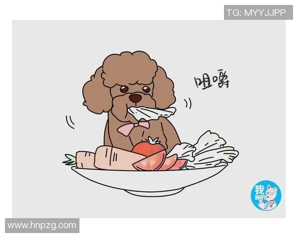 周军独家分享篮球心得与技巧助你提升球技的全面指南